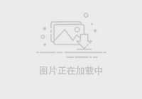 澳足总直播